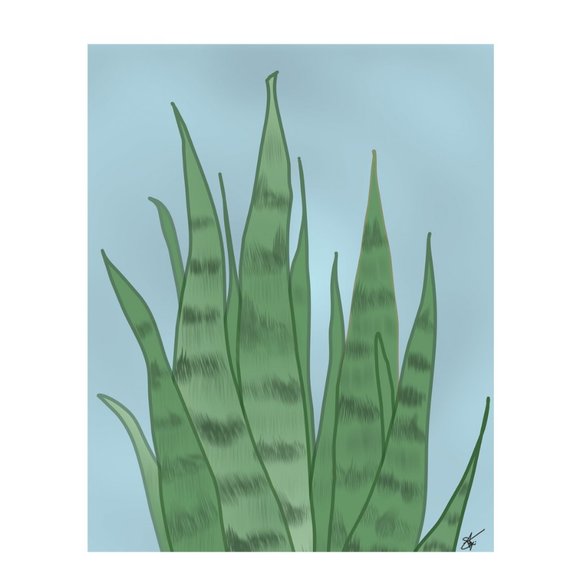 Snake Plant Sansevieria Mother's Tongue Orignal Print Graphic Drawing 5x7 - Picture 3 of 5